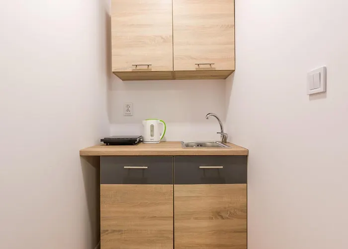 Проживание в семье Hetman