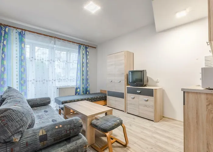 Hetman Проживание в семье