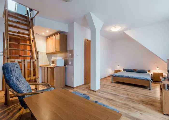 Проживание в семье Hetman