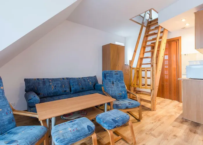 Проживание в семье Hetman