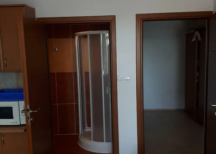 ホームステイ Hetman