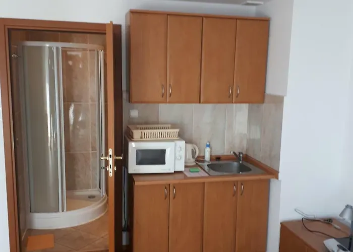 Hetman Проживание в семье