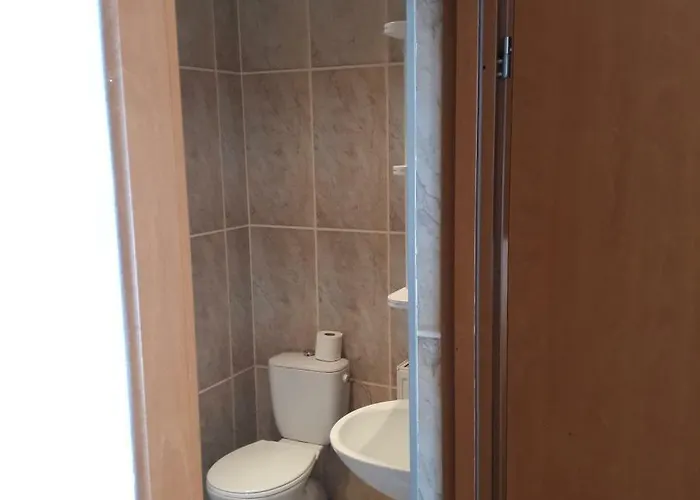 ホームステイ Hetman